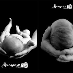 morgane photographie