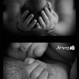 morgane photographie